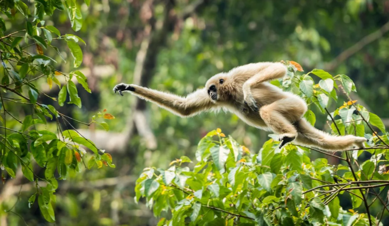Day Trip Guide from Singapore to Desaru 