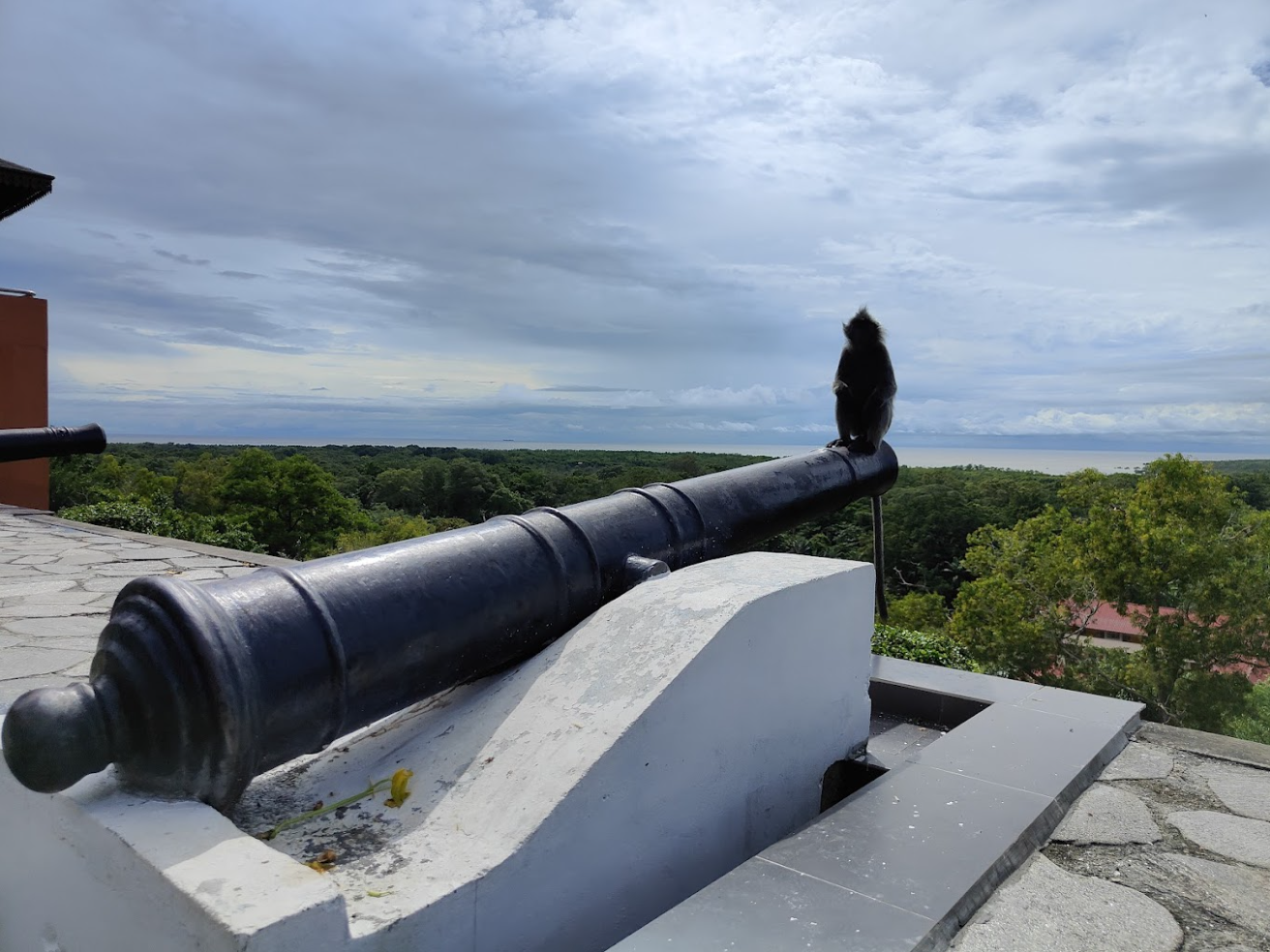 Discovering Kuala Selangor: A Journey Through Nature, Culture, and Cuisine 