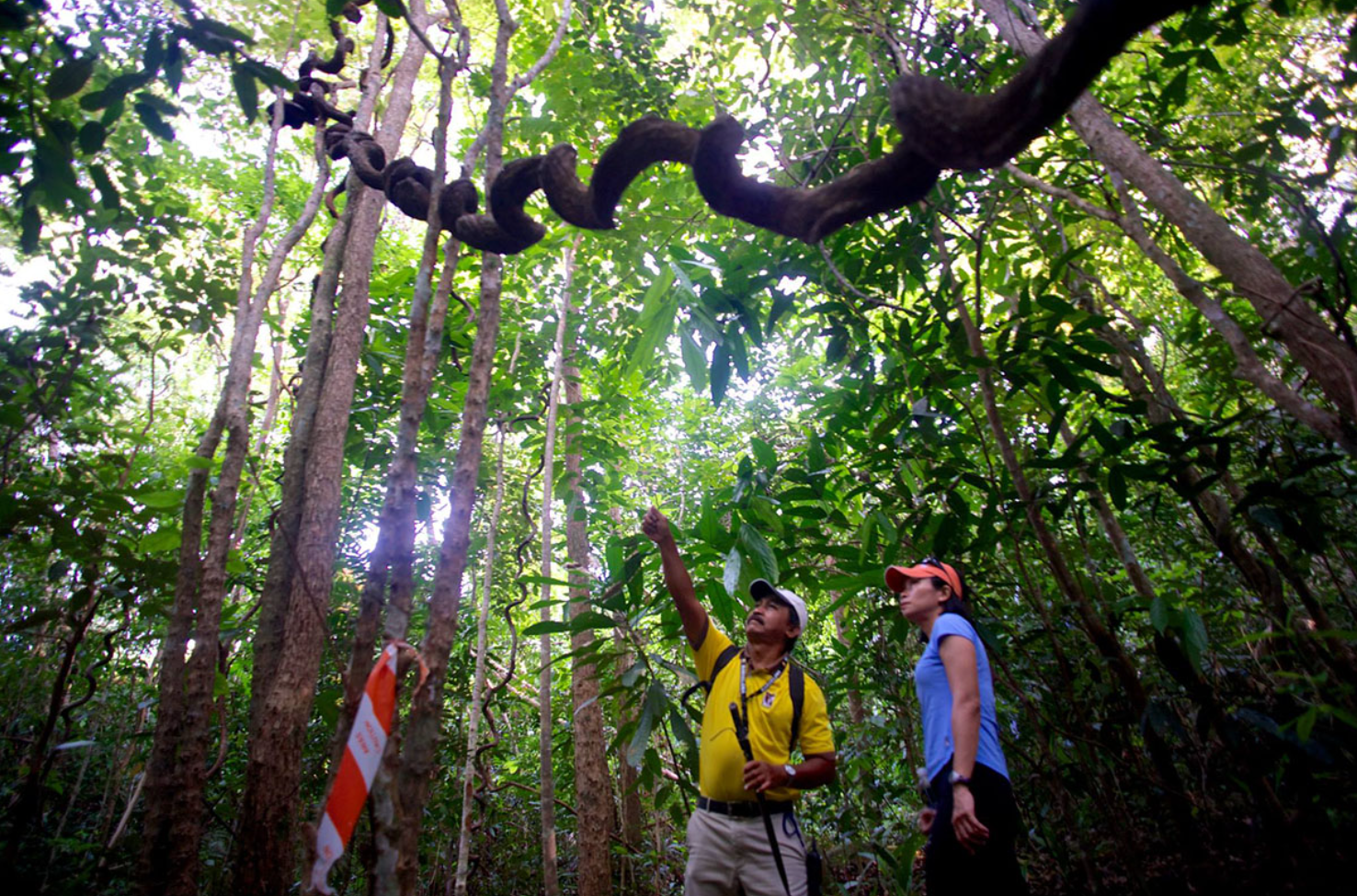 Pulau Tioman: Your Ultimate Tropical Adventure Awaits 