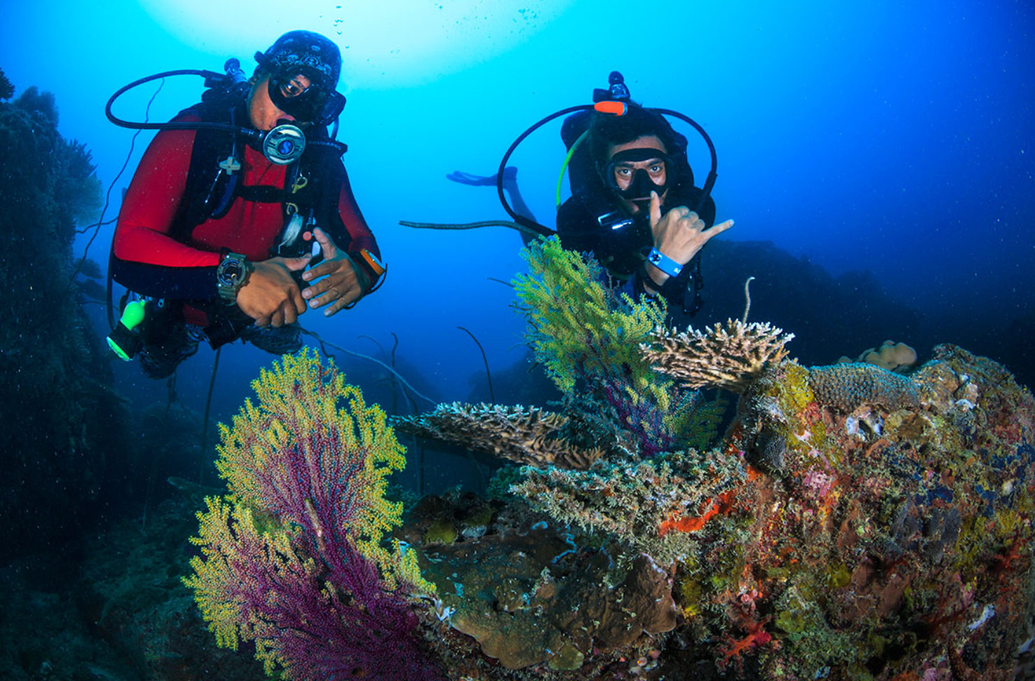 Pulau Tioman: Your Ultimate Tropical Adventure Awaits 